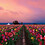 Ajay_Guduru