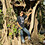 Dayanand_Kale