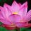 Himanshu_Saraf