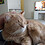 Sid_P